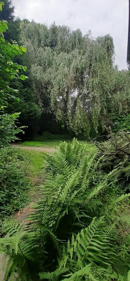 Fewo Im Naturschutzgebiet 希登豪森 外观 照片