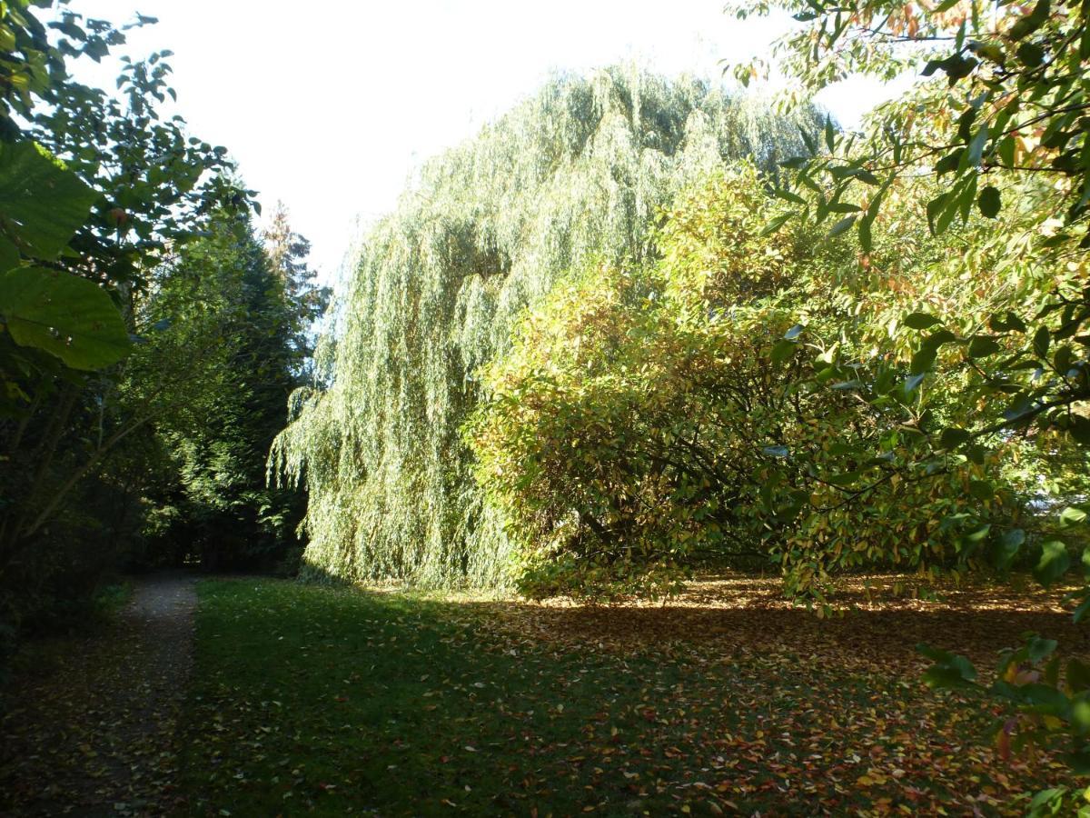 Fewo Im Naturschutzgebiet 希登豪森 外观 照片