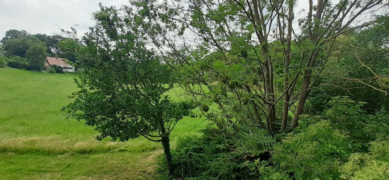 Fewo Im Naturschutzgebiet 希登豪森 外观 照片